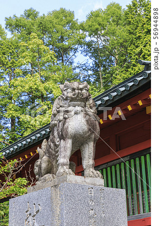 二荒山神社中宮　日光 56944898