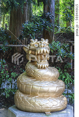 二荒山神社中宮 日光 二荒山神社中宮 日光 56944915