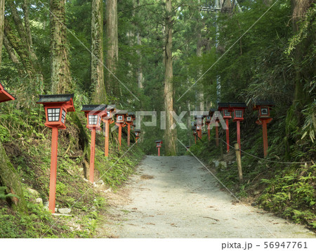 金剛山赤灯篭の参拝道 金剛山赤灯篭の参拝道 56947761