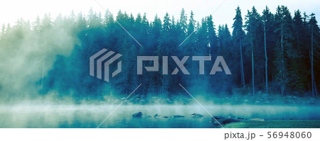 Pine trees black stylized silhouette photo Pine trees black stylized silhouette photo 56948060