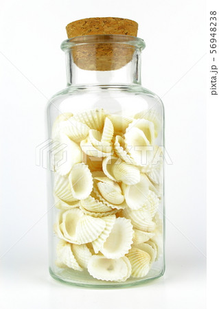 souvenir bottle with cockle shells isolated on a 56948238