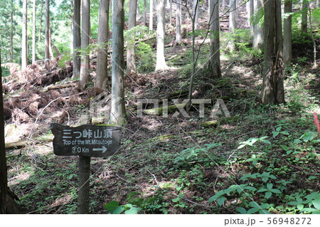 山梨県の三つ峠山の登山 山梨県の三つ峠山の登山 56948272