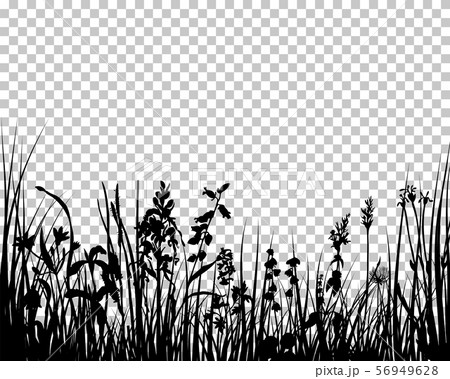 Meadow silhouette 56949628
