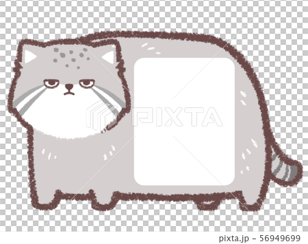 Manul cat frame 56949699