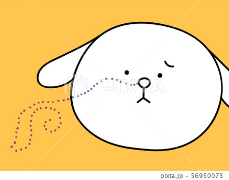 臭いが気になる犬 56950073