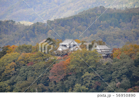 展望台から望む備中松山城 56950890