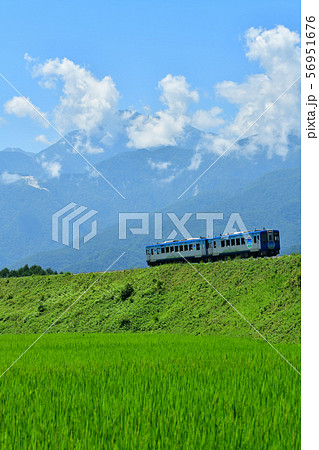北杜市小淵沢町、夏雲湧く南アルプス甲斐駒ヶ岳と稲穂が出始めた築堤を行くハイレール1375(縦位置) 北杜市小淵沢町、夏雲湧く南アルプス甲斐駒ヶ岳と稲穂が出始めた築堤を行くハイレール1375(縦位置) 56951676