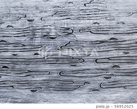 Old blue wall covered with uneven plaster. Texture 56952025