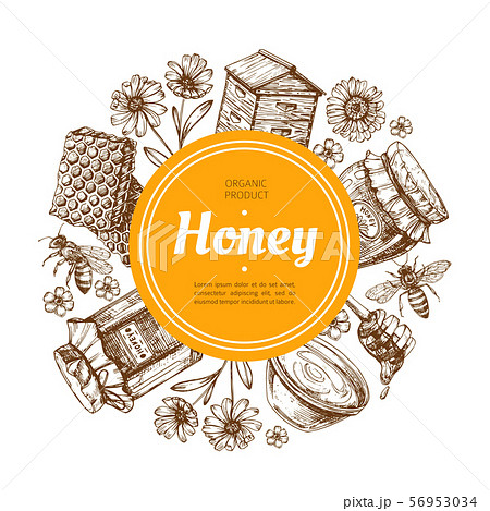 Honey label. Natural farm honey badge with bee and honeycomb. Vintage hand drawn vector illustration 56953034