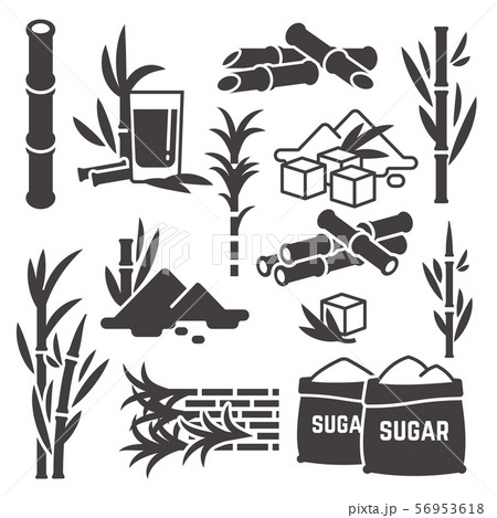 Sugar cane, sugarcane plant harvest vector silhouette icons isolated on white background Sugar cane, sugarcane plant harvest vector silhouette icons isolated on white background 56953618