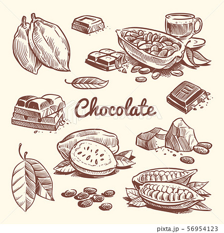 Hand drawn cacao, leaves, cocoa seeds, sweet dessert and chocolate bar. Cocoa sketch vector 56954123
