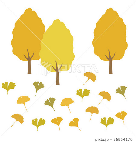 イチョウの木と葉のイラスト素材 56954176 Pixta