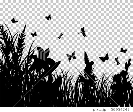Meadow silhouette Meadow silhouette 56954245
