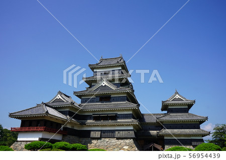 国宝松本城 56954439