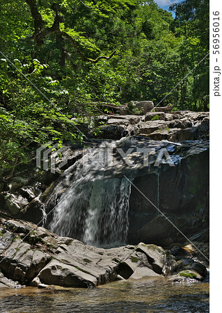 《鳥取県》芦津渓谷 56956016