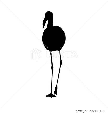Flamingo Silhouetteのイラスト素材