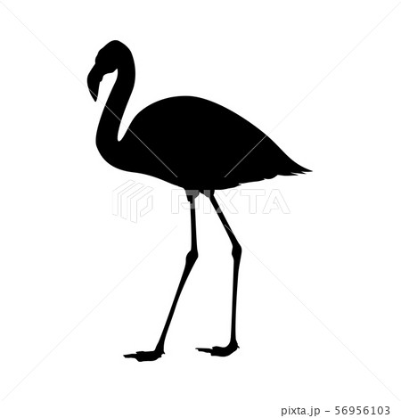 Flamingo Silhouetteのイラスト素材