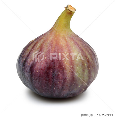 Fresh purple fig fruit isolated on white Fresh purple fig fruit isolated on white 56957944