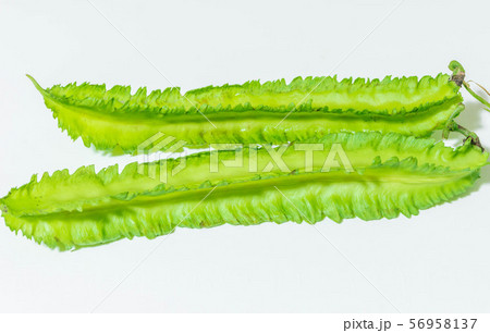 シカクマメ 56958137