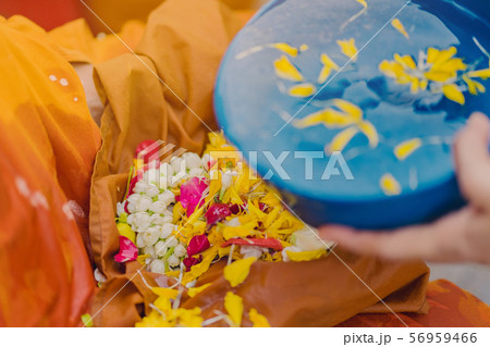 People pouring water to Buddhist Monk and gives blessing in Thailand Songkran annual festival 56959466