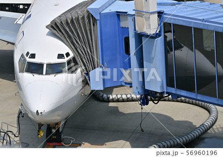 搭乗中の旅客機 搭乗中の旅客機 56960196