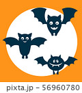 Halloween set bat 56960780