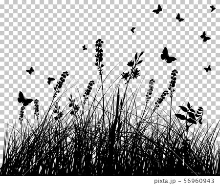 Meadow silhouette 56960943