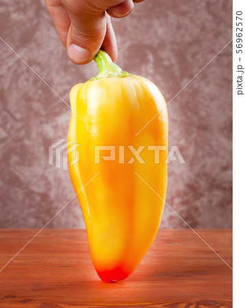 fresh yellow sweet bell pepper in hand 56962570