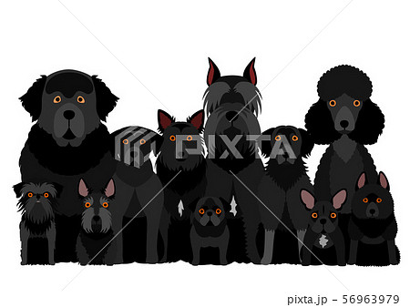 黒い犬のグループのイラスト素材 56963979 Pixta