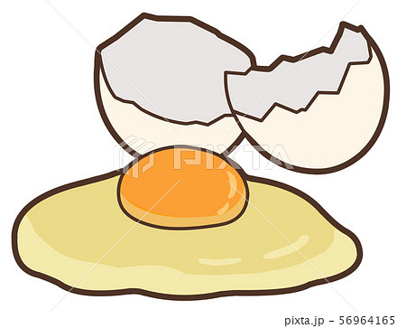 生卵 鶏卵 のイラスト素材