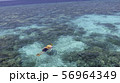 南国モルディブの海でのシュノーケリング 56964349