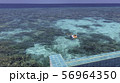南国モルディブの海でのシュノーケリング 56964350
