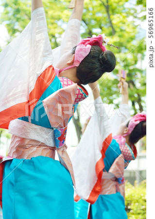 よさこい祭り 56965166