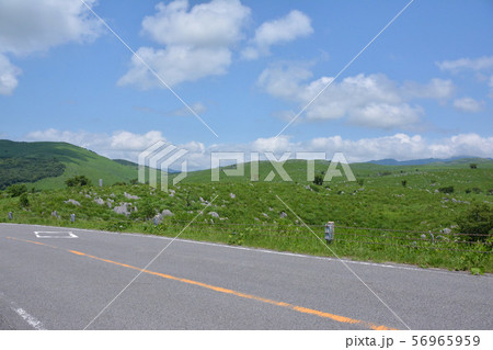 カルスト台地 56965959