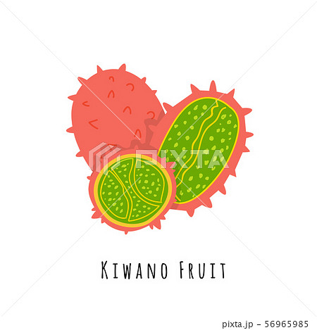 Kiwano fruit flat vector illustration Kiwano fruit flat vector illustration 56965985