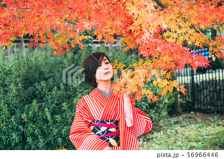 紅葉と着物の女性の写真素材 [56966446] - PIXTA