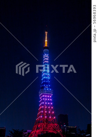 ダイヤモンドヴェールの東京タワー　夜景 56968393