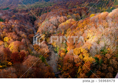 城ヶ倉渓谷 紅葉 八甲田 青森 日本 城ヶ倉渓谷 紅葉 八甲田 青森 日本 56968479