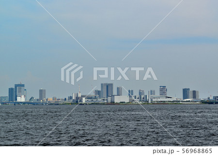 芝浦埠頭から見るレインボーブリッジ　晴海埠頭 56968865