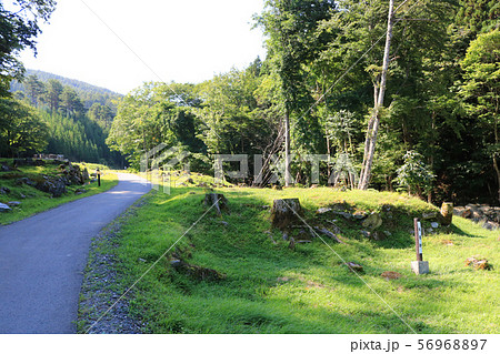 橋野鉄鉱山、長屋跡付近の散策路 橋野鉄鉱山、長屋跡付近の散策路 56968897