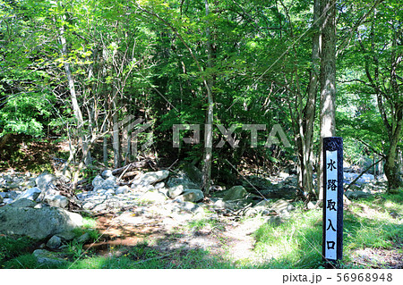 橋野鉄鉱山、水路取入口 橋野鉄鉱山、水路取入口 56968948