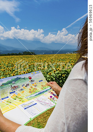 【明野　ヒマワリ畑】 56969615