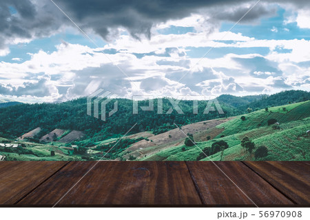 corn growing in field on mountain 56970908