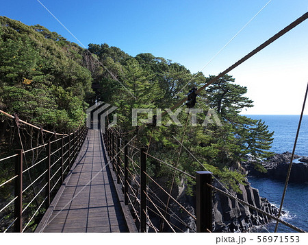 城ヶ崎海岸　橋立吊橋 56971553