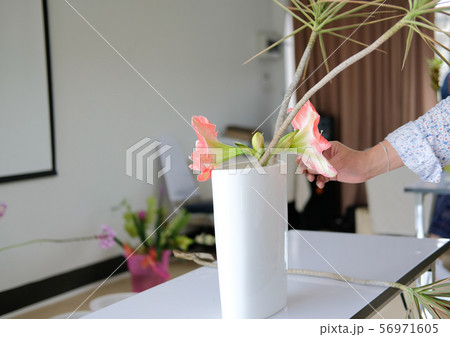 florist arranging flower bouquet in vase. floristry class course workshop 56971605