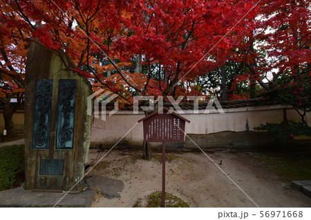 酬恩庵の紅葉 酬恩庵の紅葉 56971668