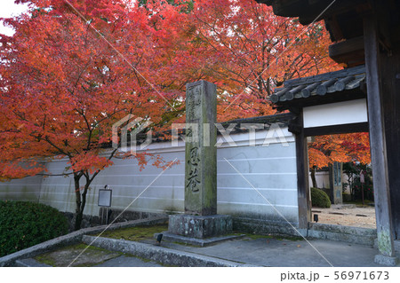 酬恩庵の紅葉 56971673