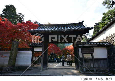 酬恩庵の紅葉 酬恩庵の紅葉 56971674