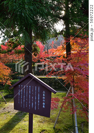 酬恩庵の紅葉 酬恩庵の紅葉 56972222