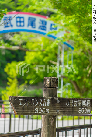 ＪＲ福知山線廃線跡のハイキングコース（兵庫県宝塚市玉瀬）※作品コメント欄に撮影位置 56972347